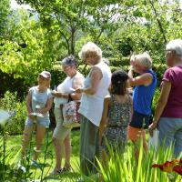 Balade botanique dans le jardin