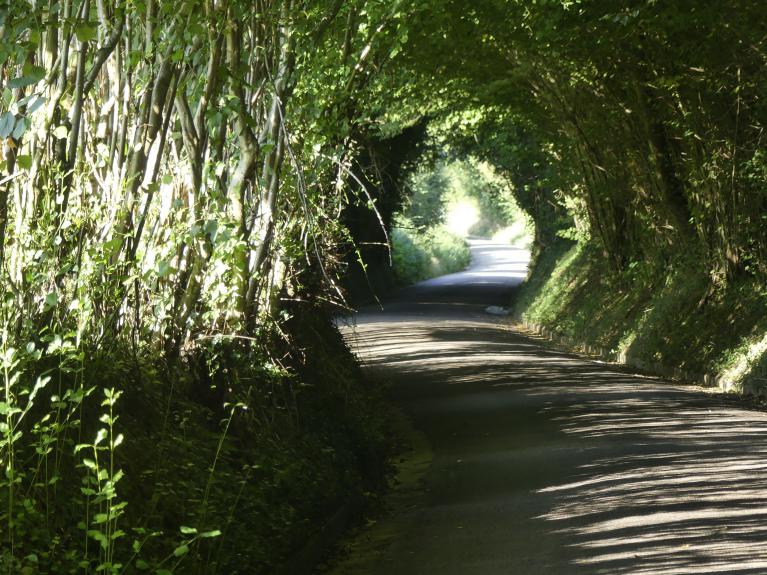 La route d'accès au gîte