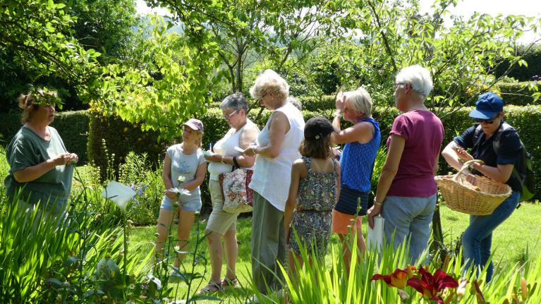 Balade botanique dans le jardin